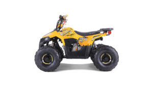 Tao-motor-Mudrock-110_7