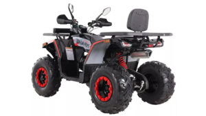 Tao motor Shark 200 III_2