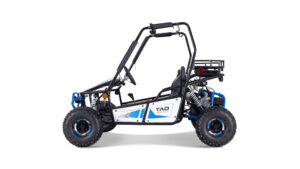 tao motor go kart trition 125_10