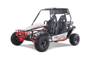 TAO_Motors_BajaSport_200_driver3Q_red-scaled-1
